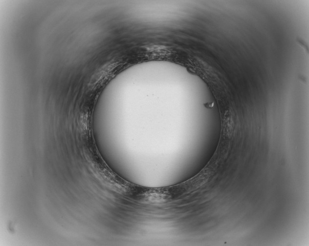 X0000102490756200808291649