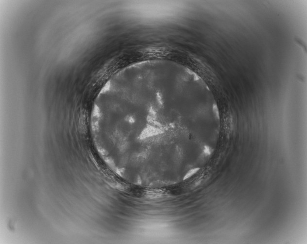 X0000102490757200808291649