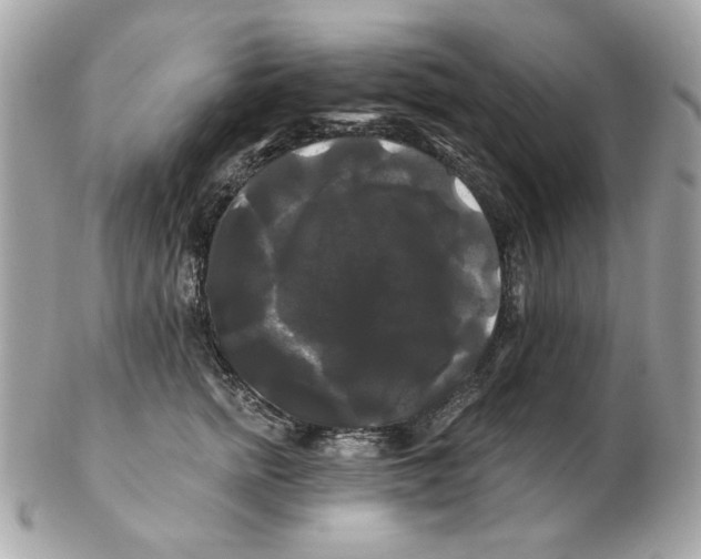 X0000102490758200808291649