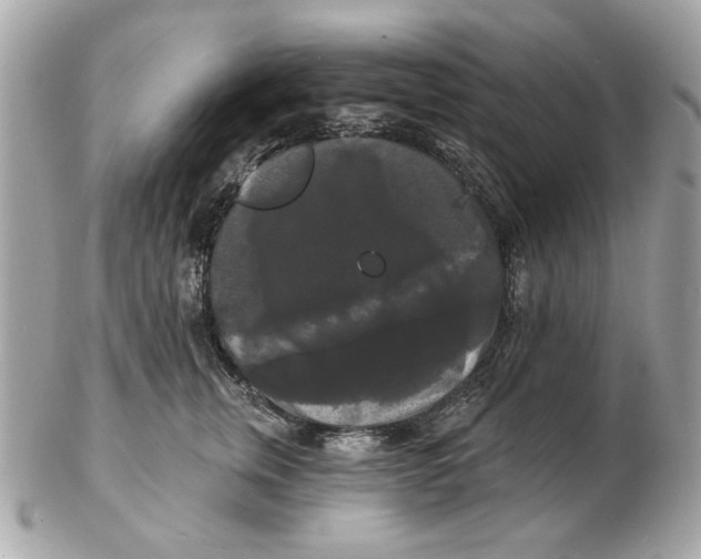 X0000102490759200808291649