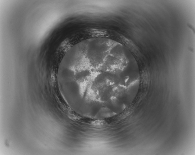 X0000102490761200808291649