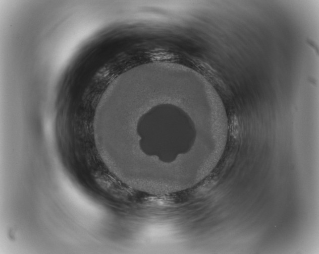 X0000102490763200808291649