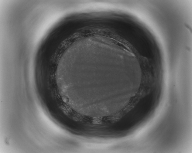 X0000102490766200808291649