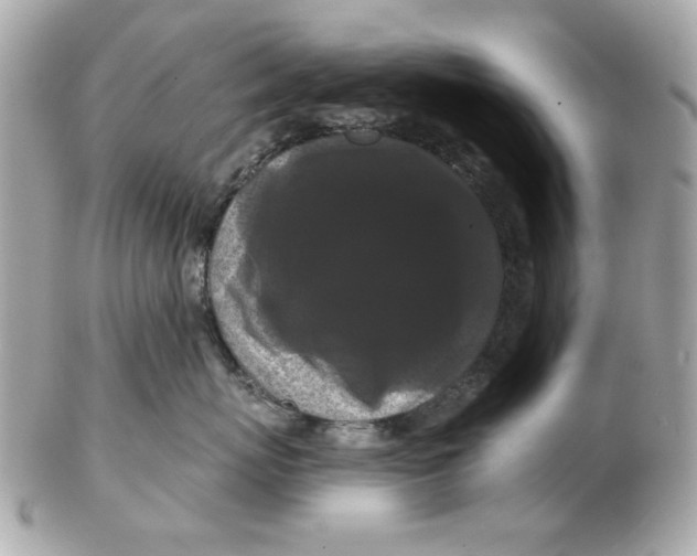 X0000102490767200808291649