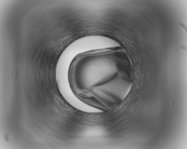 X0000102490768200808291649