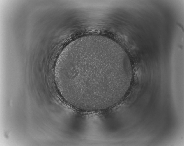 X0000102490769200808291648