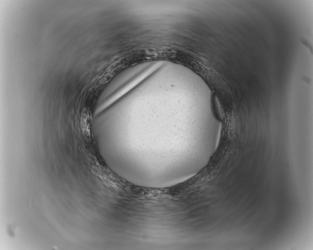 X0000102490770200808291648