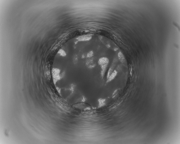 X0000102490771200808291648