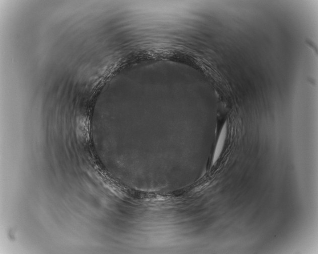 X0000102490772200808291648