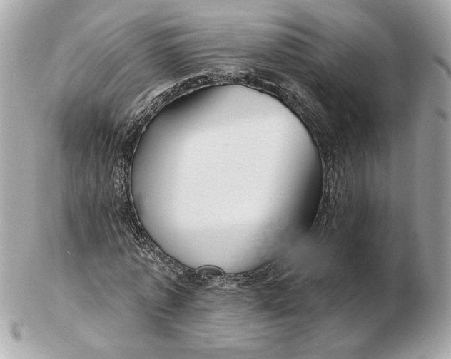 X0000102490773200808291648