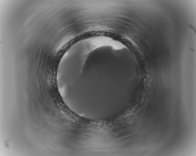 X0000102490775200808291648