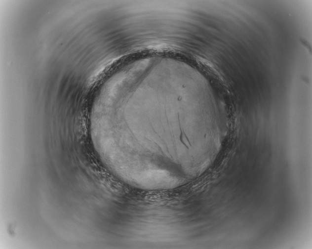 X0000102490776200808291648