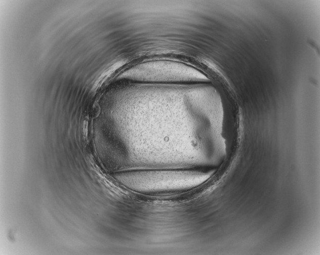 X0000102490777200808291648