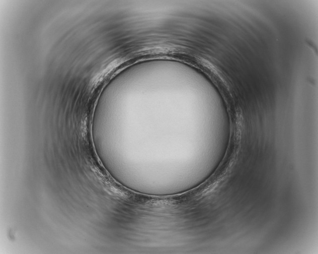 X0000102490778200808291648