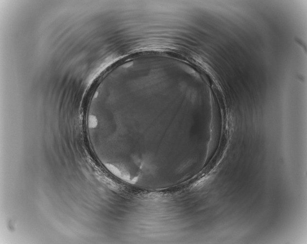 X0000102490779200808291648