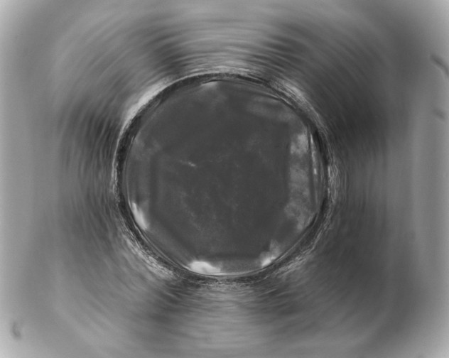 X0000102490780200808291648