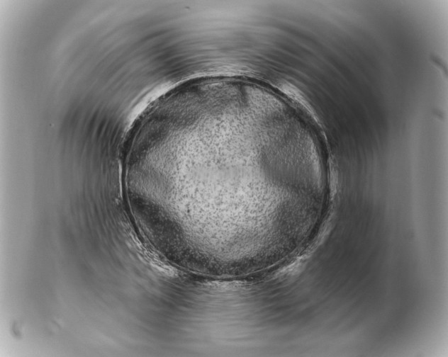 X0000102490781200808291648