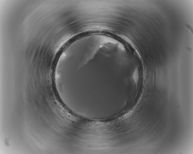 X0000102490783200808291648