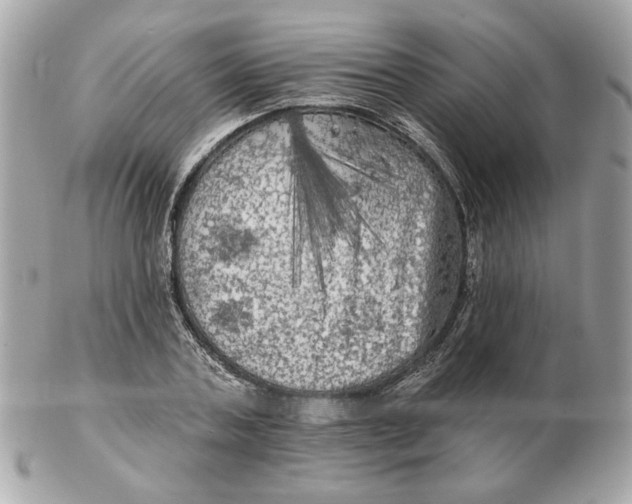 X0000102490787200808291648