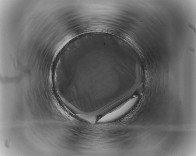 X0000102490788200808291648