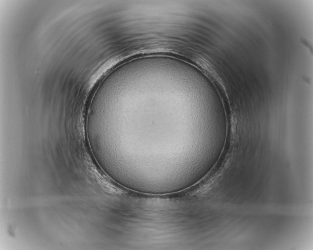 X0000102490789200808291648