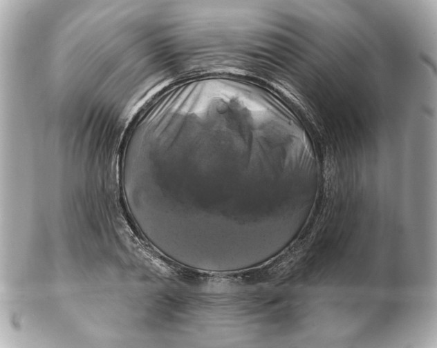 X0000102490790200808291648