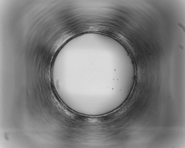 X0000102490794200808291648