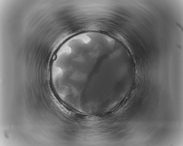 X0000102490795200808291648