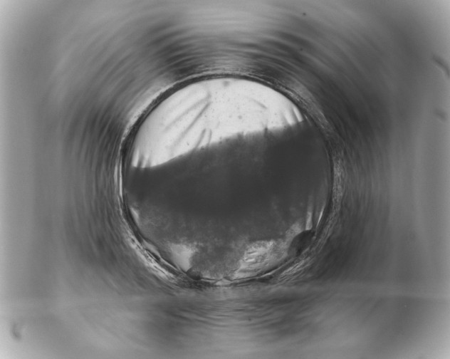 X0000102490796200808291648