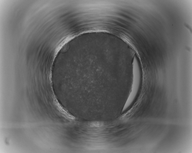 X0000102490797200808291648