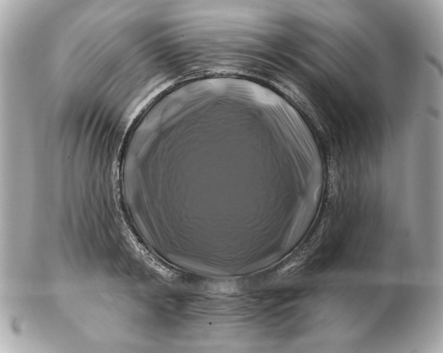 X0000102490798200808291648