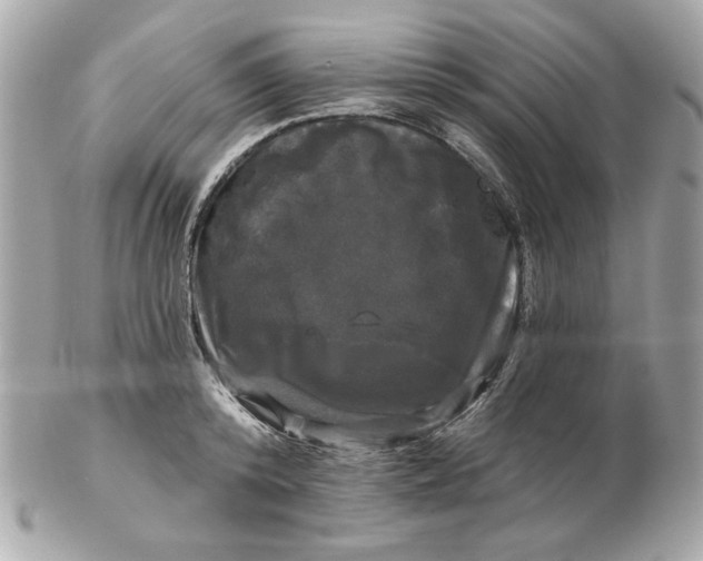 X0000102490800200808291648