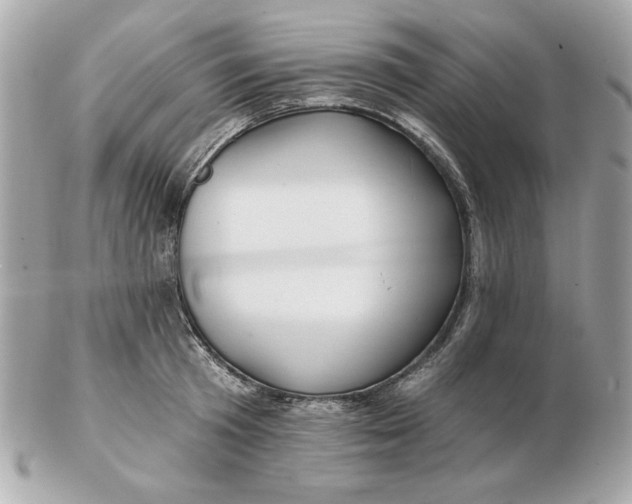 X0000102490801200808291648