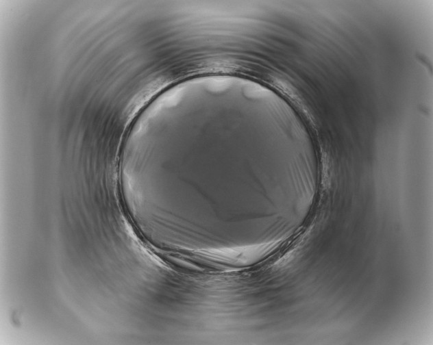 X0000102490802200808291648