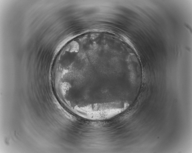 X0000102490803200808291648