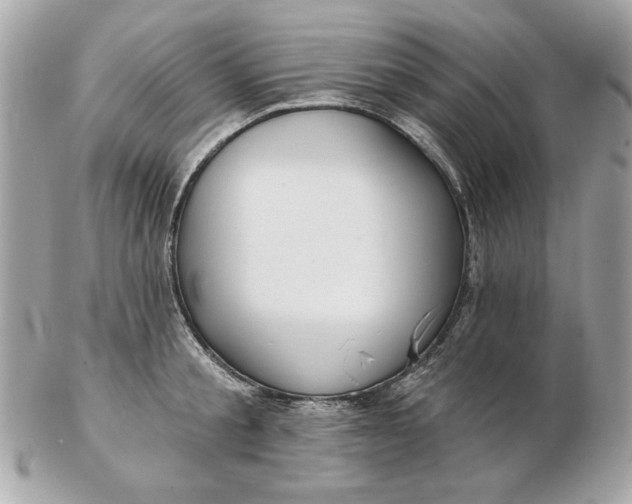 X0000102490805200808291648