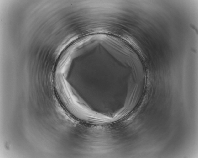 X0000102490806200808291648