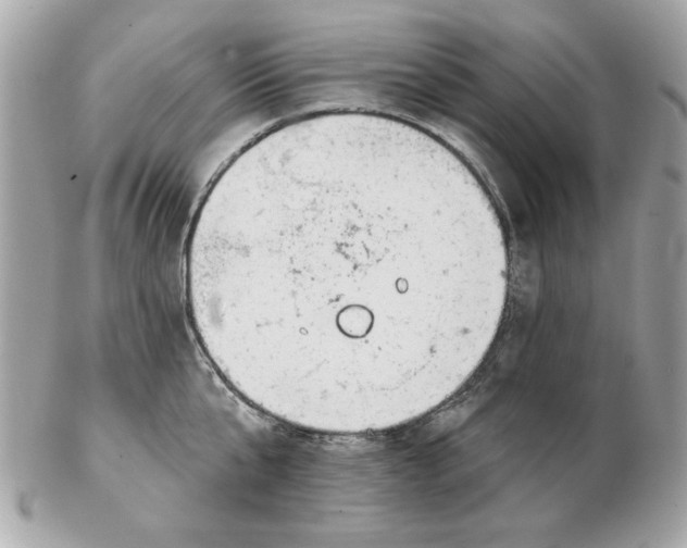 X0000102490807200808291648