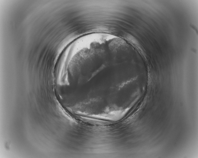 X0000102490808200808291648