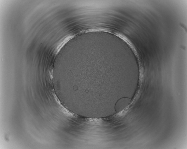 X0000102490809200808291648