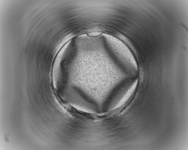 X0000102490810200808291648