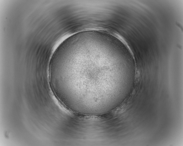 X0000102490811200808291648