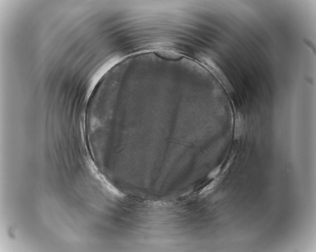 X0000102490812200808291648