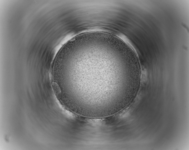 X0000102490813200808291648