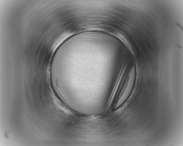 X0000102490814200808291648