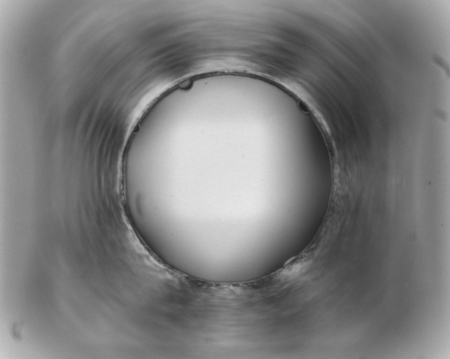 X0000102490815200808291648