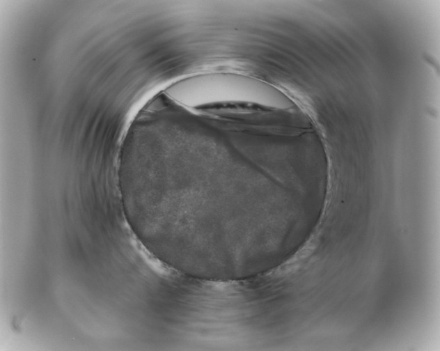 X0000102490816200808291648