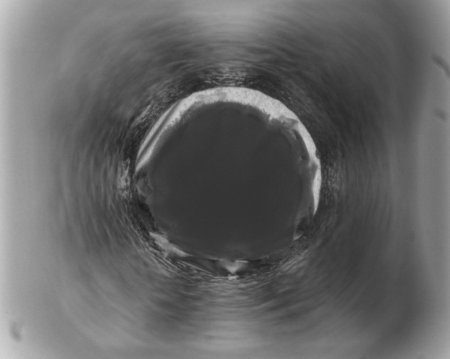 X0000102490818200808291647