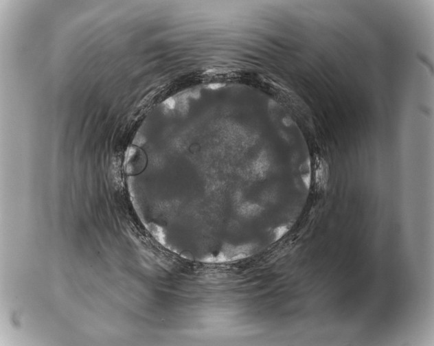 X0000102490819200808291647