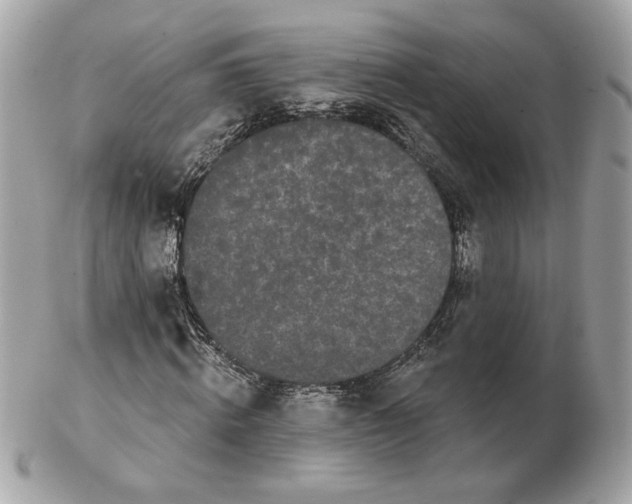 X0000102490820200808291647